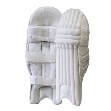 What is this piece of equipment used by a batsman to protect their head?